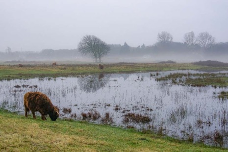 Natuur