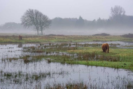 Natuur