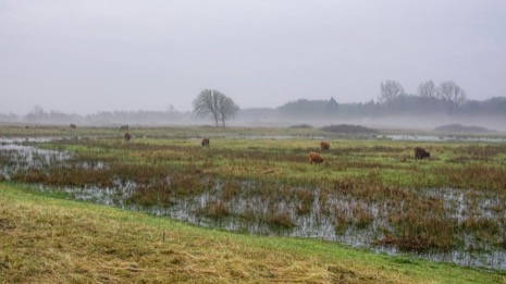 Natuur