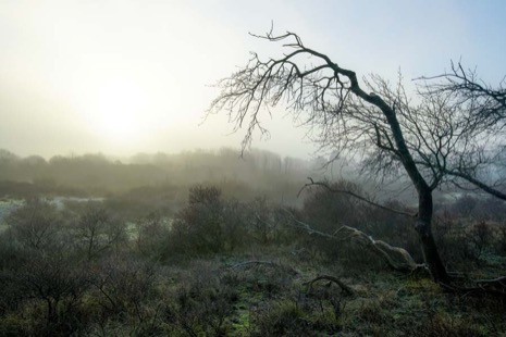 Natuur