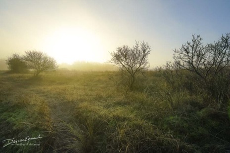 Natuur