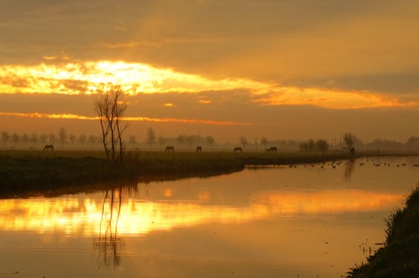 Natuur