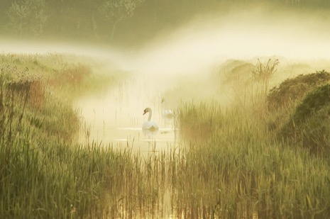 Natuur