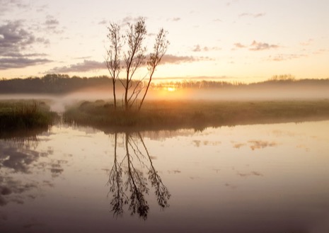 Natuur