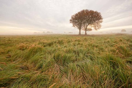 Natuur