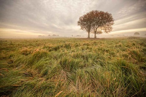 Natuur