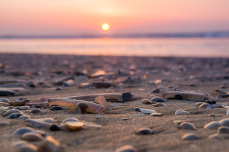 Strandleven