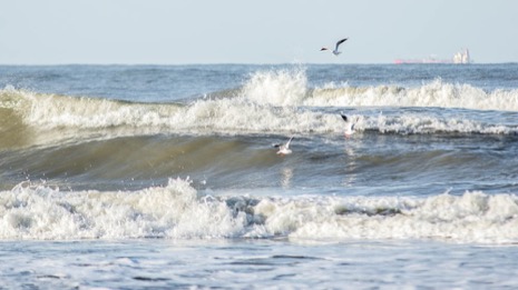 Strandleven