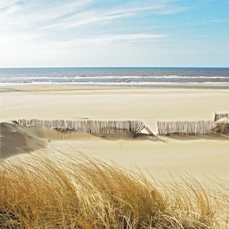 Strandleven