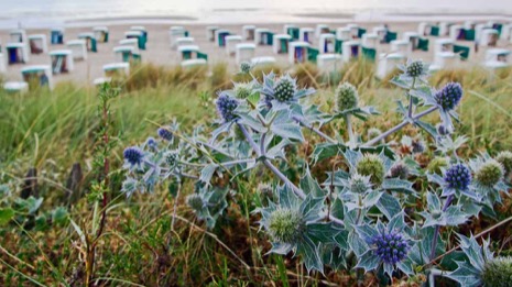 Strandleven