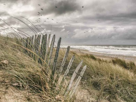 Strandleven