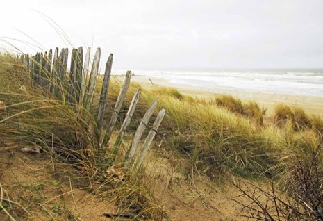 Strandleven