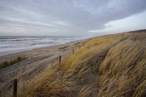 Strandleven