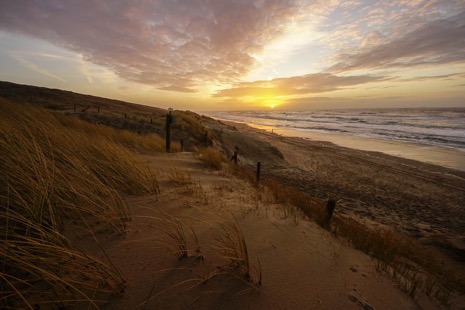 Strandleven