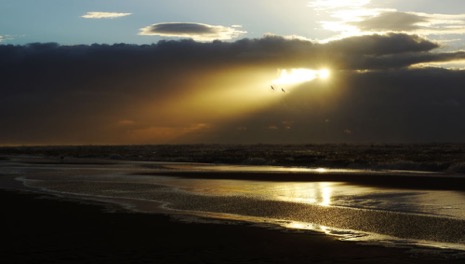 Strandleven