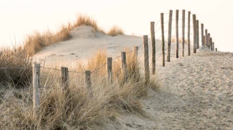 Strandleven