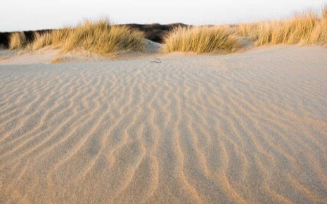 Strandleven