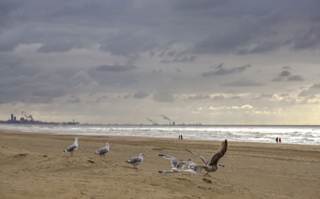 Strandleven