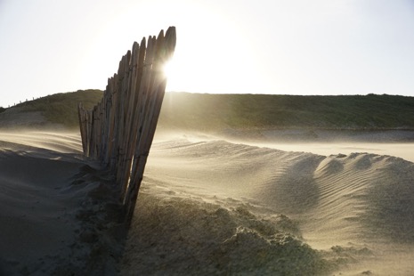 Strandleven