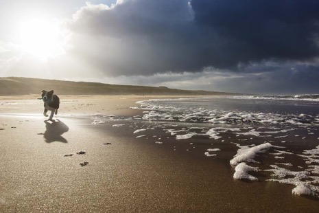 Strandleven