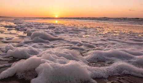 Strandleven