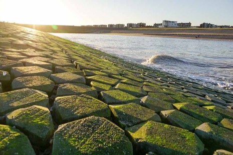 Strandleven