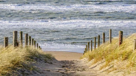 Strandleven