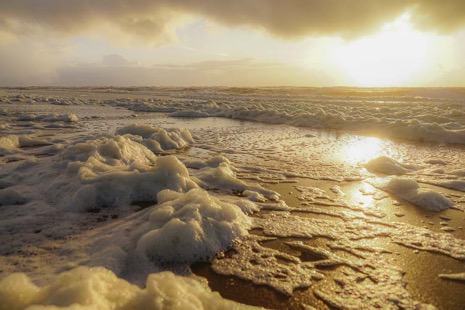 Strandleven