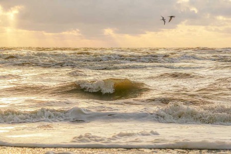 Strandleven