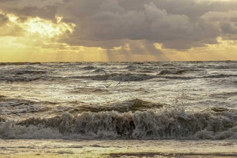 Strandleven