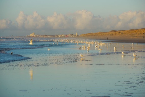 Strandleven