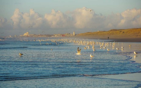 Strandleven