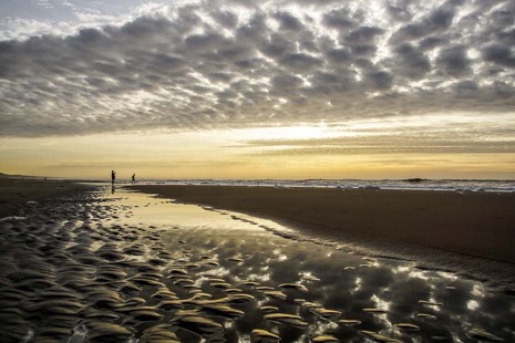 Strandleven