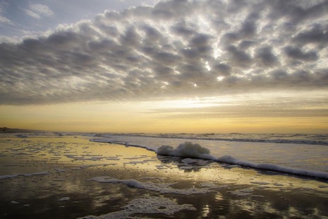 Strandleven