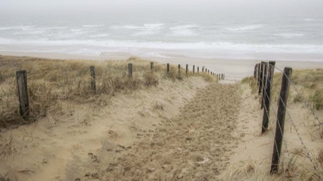 Strandleven