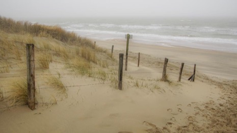 Strandleven