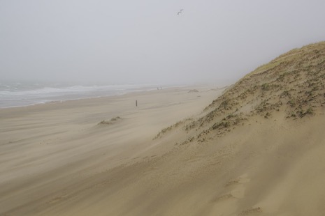 Strandleven