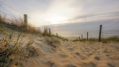 Strandleven