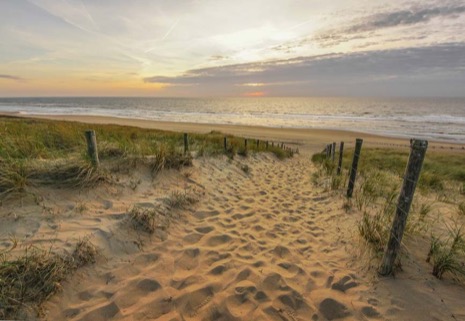 Strandleven