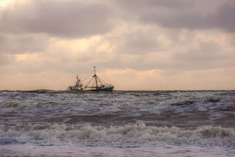 Strandleven