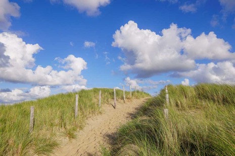 Strandleven