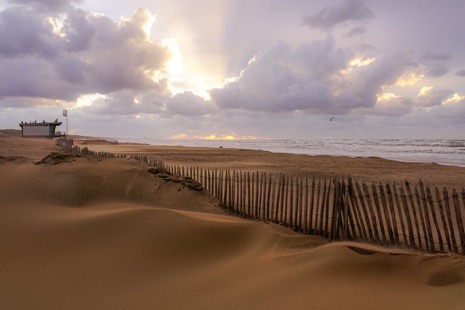 Strandleven