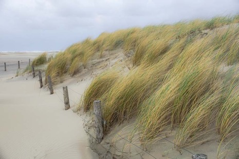 Strandleven