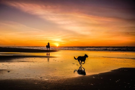 Strandleven