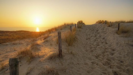 Strandleven