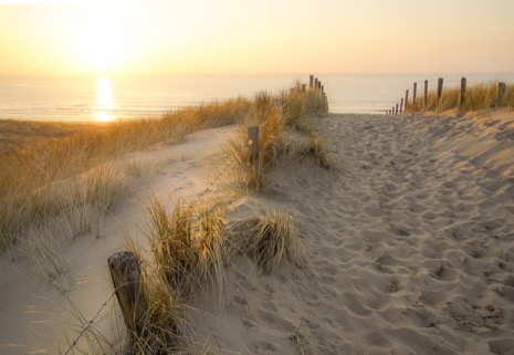 Strandleven