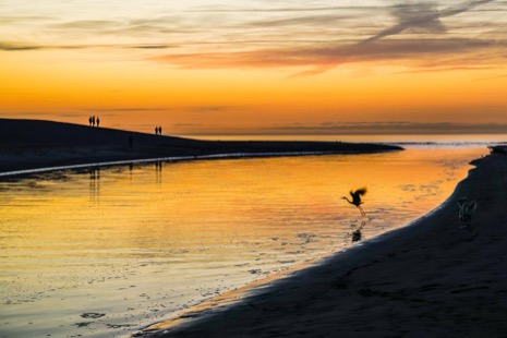 Strandleven