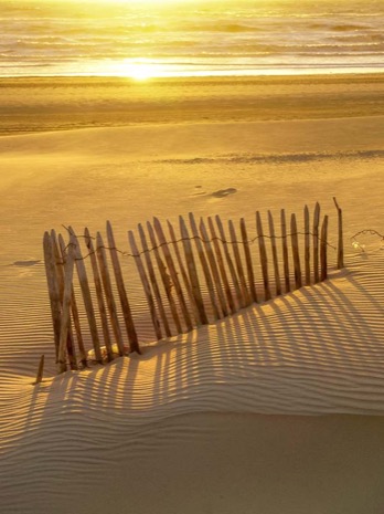 Strandleven