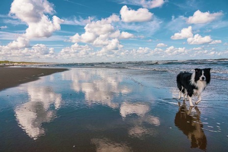 Strandleven