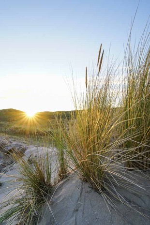 Strandleven